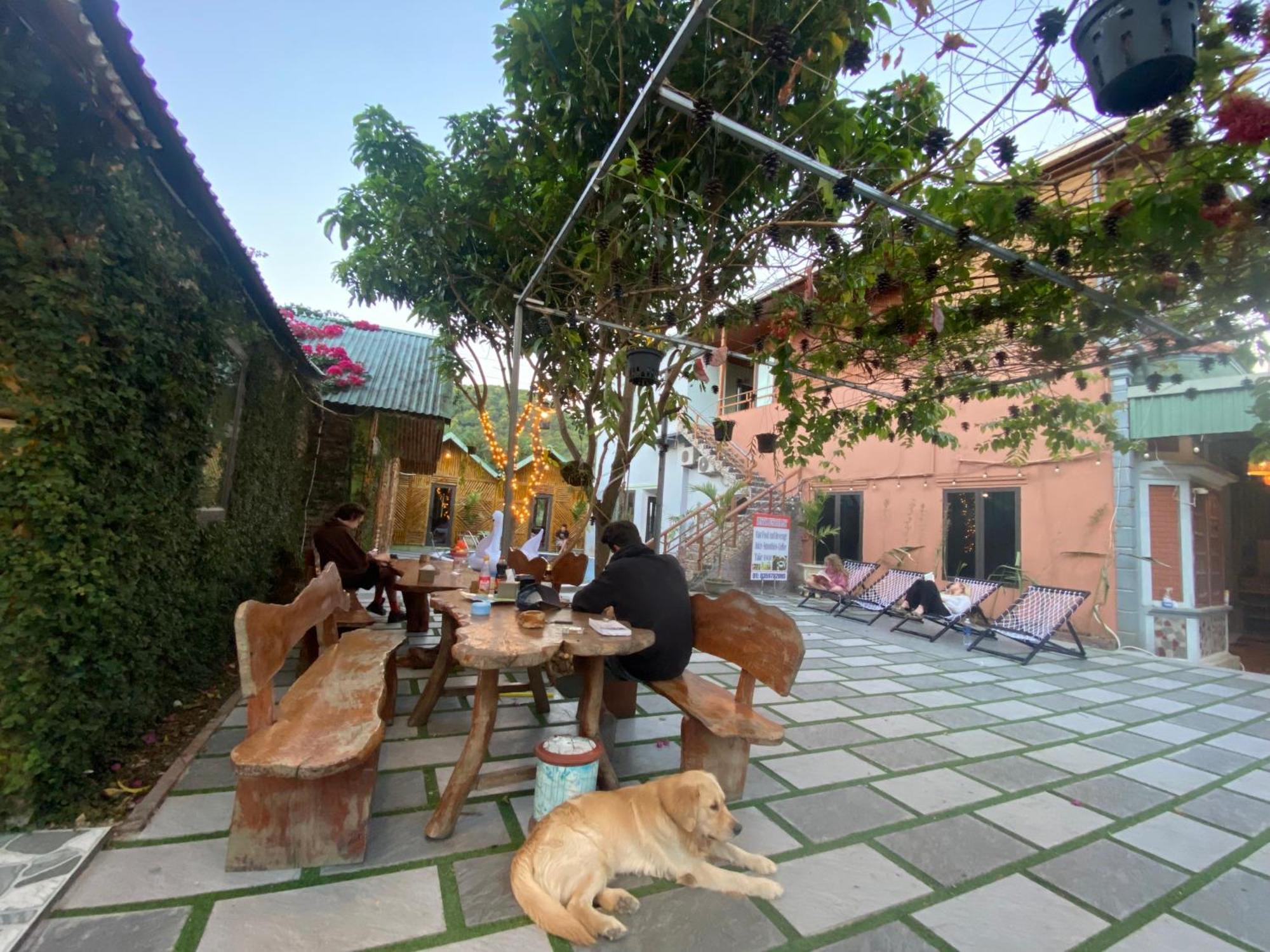 Cat Ba Rustic Homestay Hien Hao Buitenkant foto