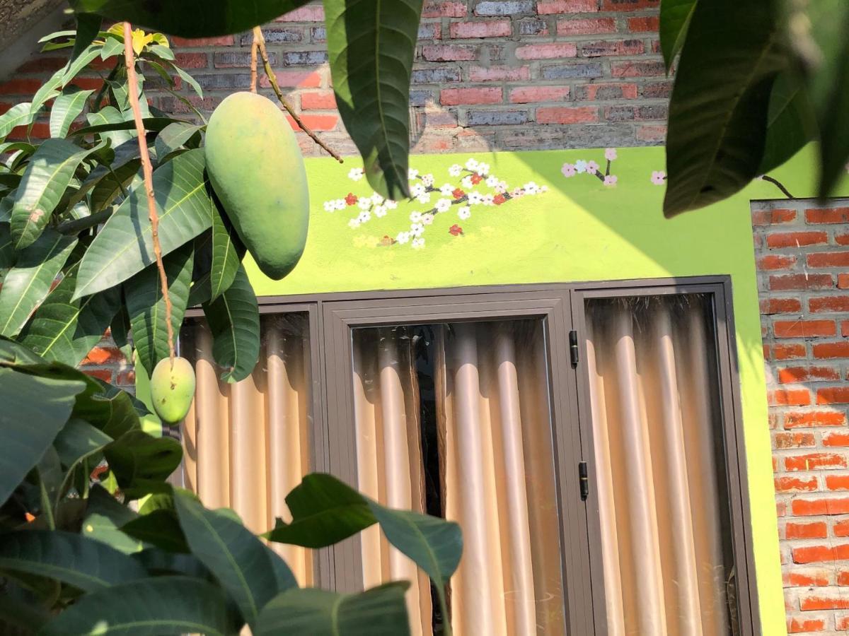 Cat Ba Rustic Homestay Hien Hao Buitenkant foto