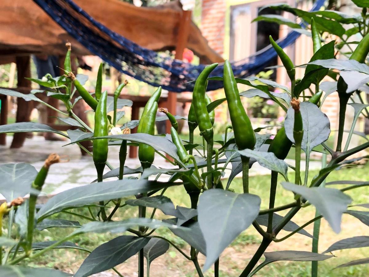 Cat Ba Rustic Homestay Hien Hao Buitenkant foto